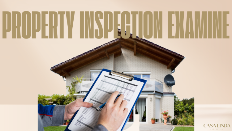 Property Inspection Examine